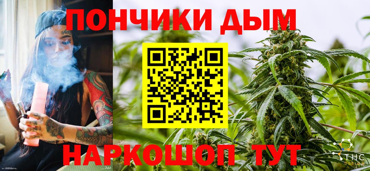 Бошки Шишки семена Великий Устюг